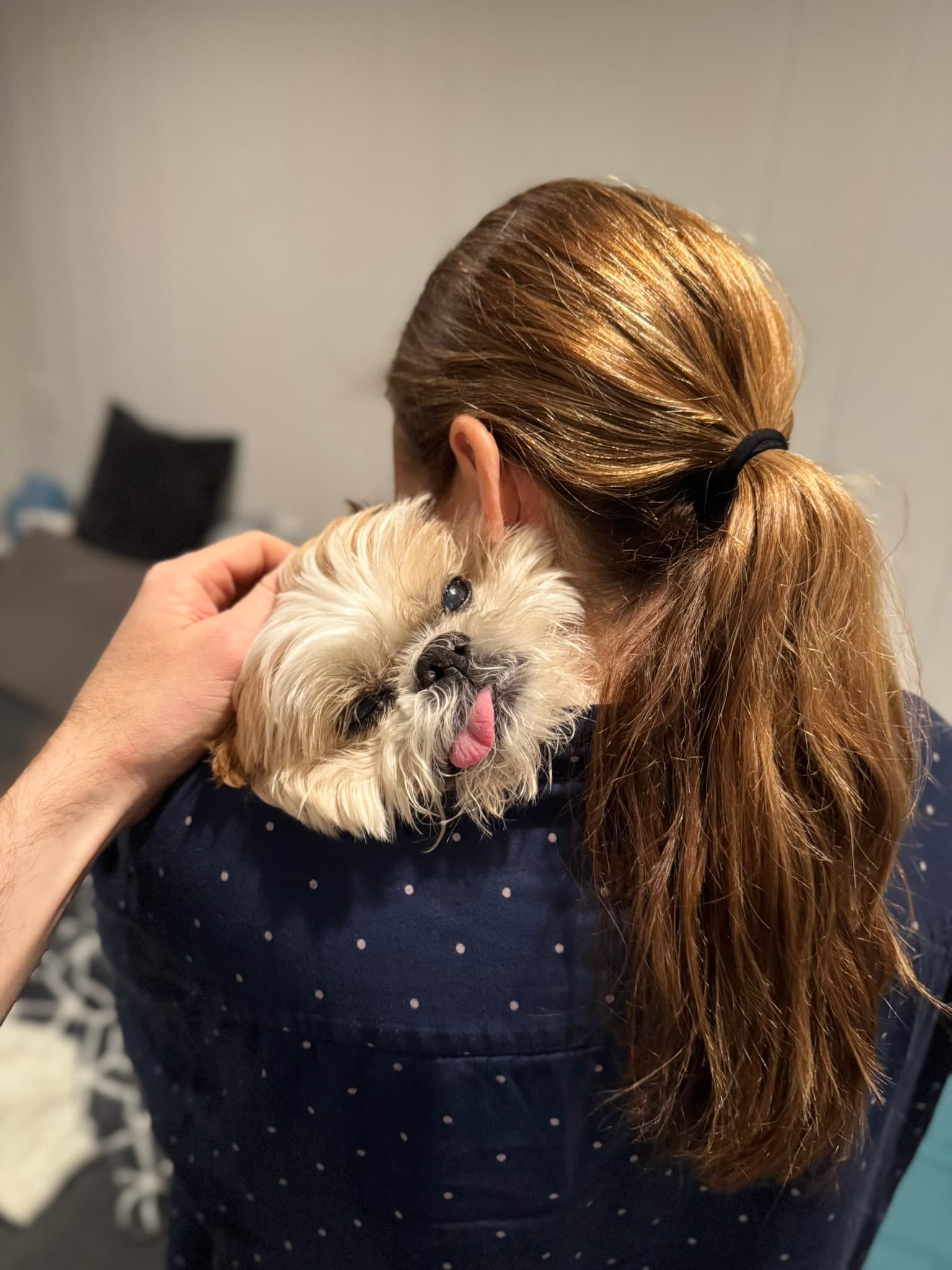 Jordana comforting Cooper, Ryan's hand reaching to pet him