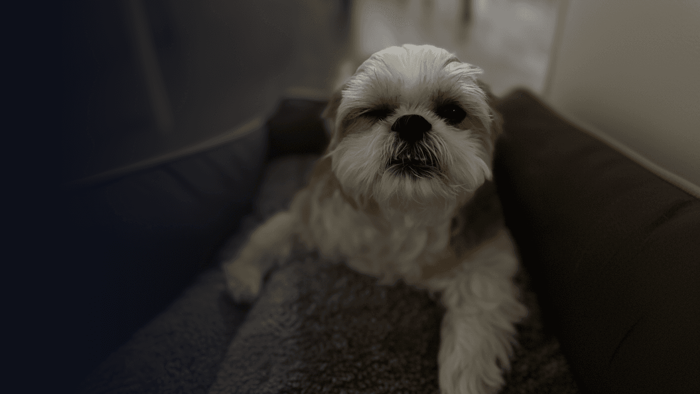 Cooper squinting with his injured eye